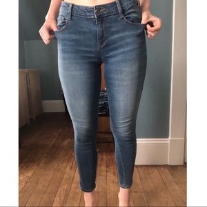 Light Blue Arizona Skinny Jeggings